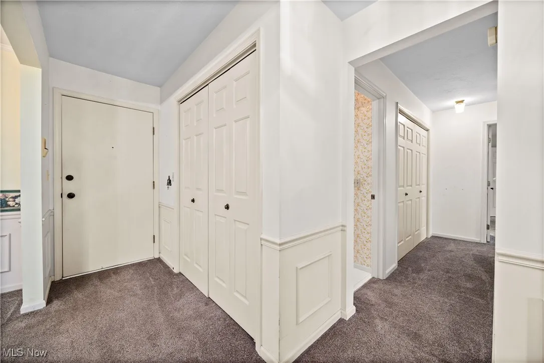 Hall area and entry door