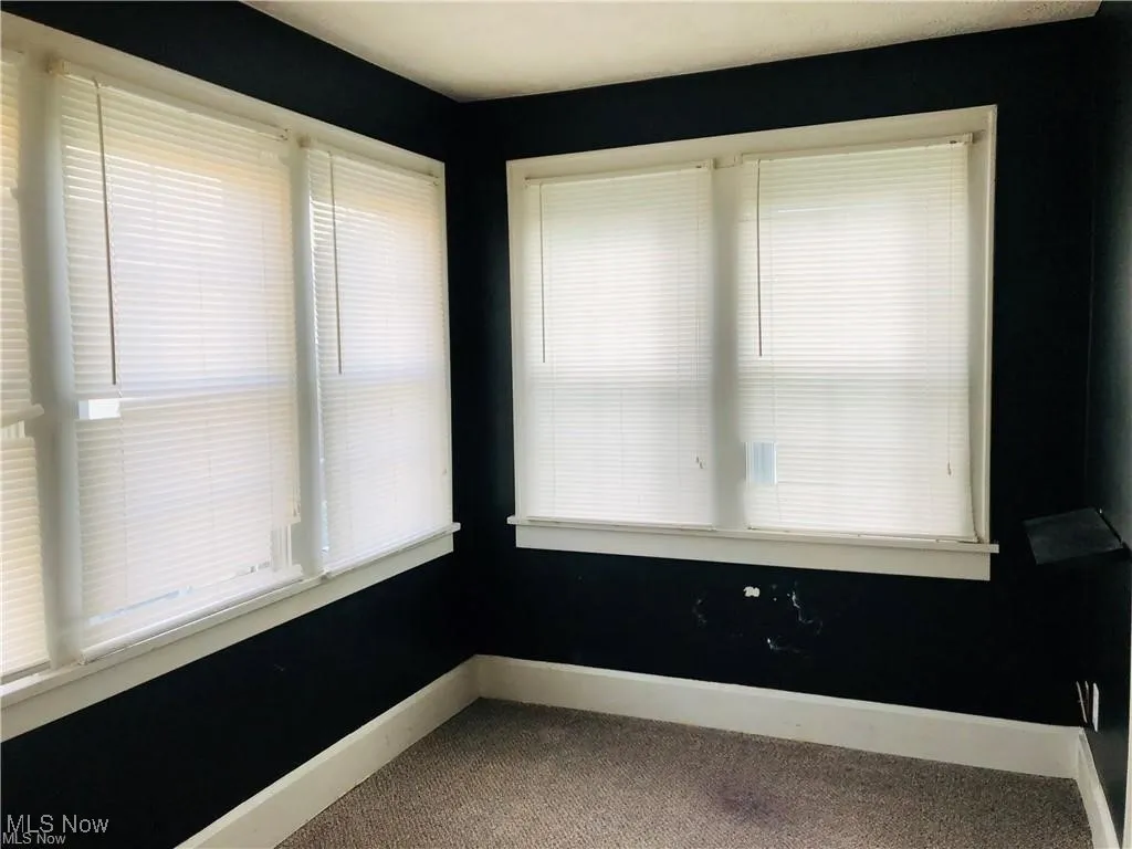 Empty room featuring carpet flooring, baseboards, and plenty of natural light