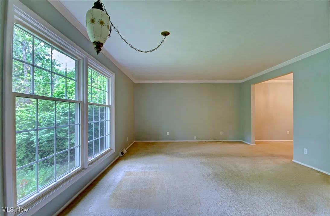 Carpeted empty room with baseboards and ornamental molding