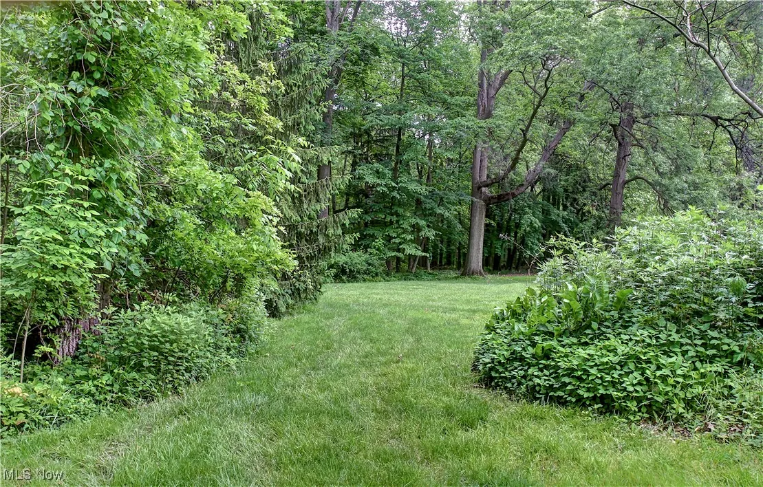 View of grassy yard with a wooded view