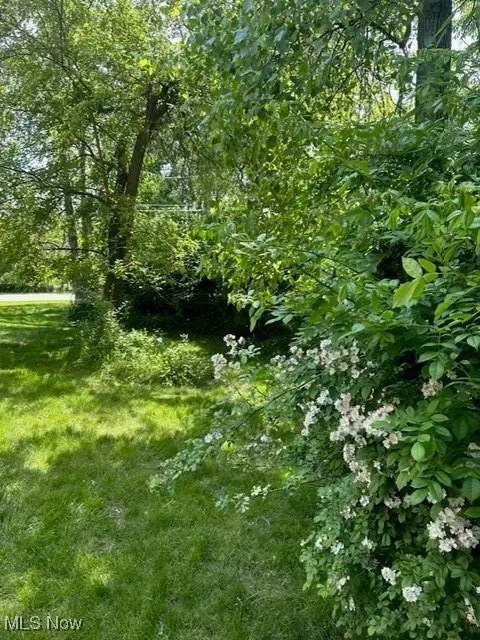 View of undeveloped land