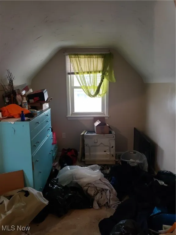 Bedroom featuring vaulted ceiling