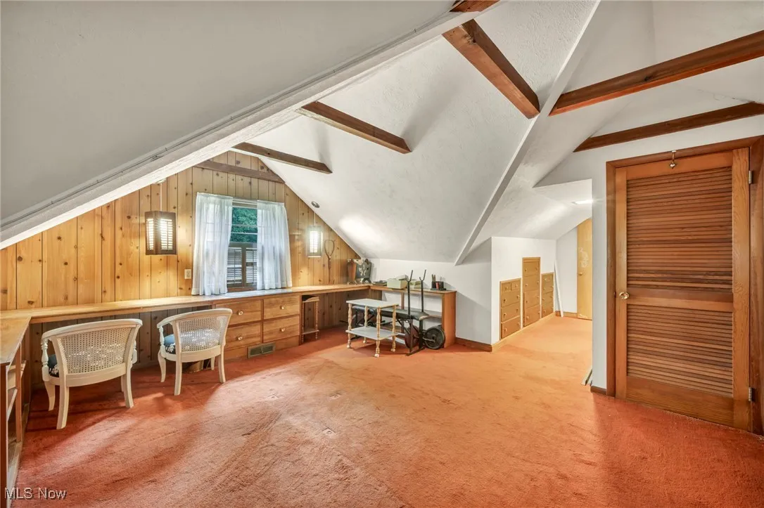Additional living space featuring wood walls and carpet floors
