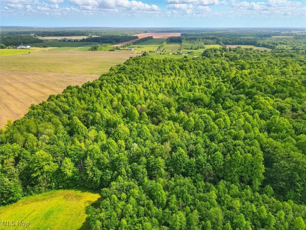 Aerial view of a heavily wooded area