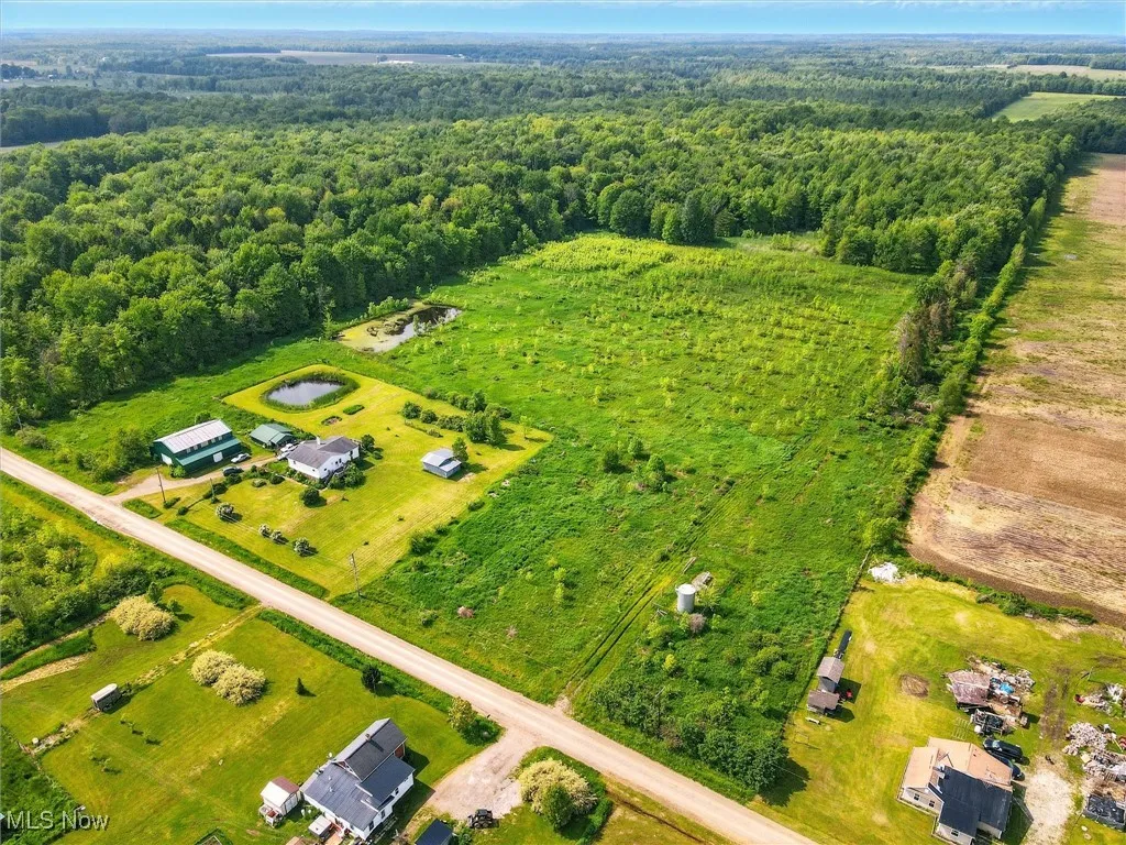 Aerial view of a forest