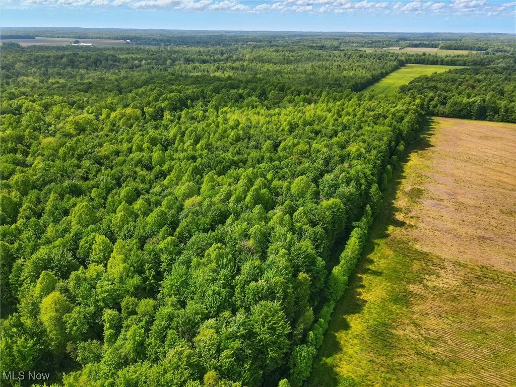 Drone / aerial view of a heavily wooded area