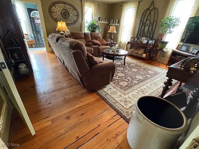 Living room featuring hardwood / wood-style floors