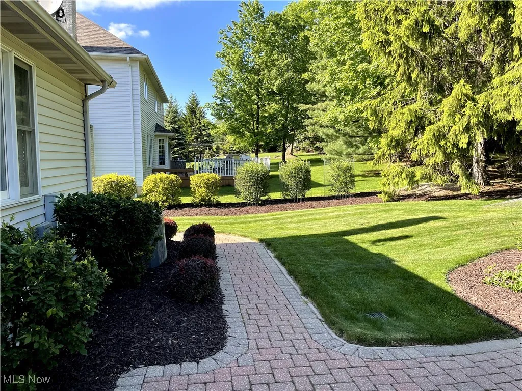 View of green lawn