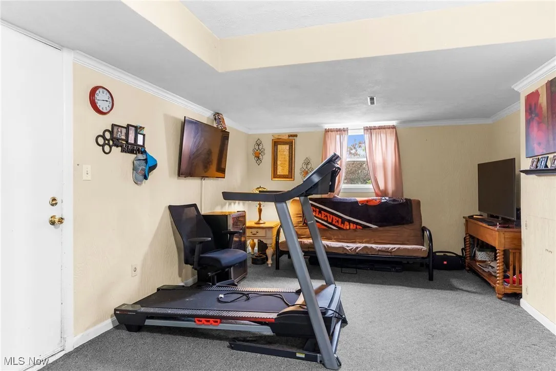 Workout room with carpet, ornamental molding, and baseboards
