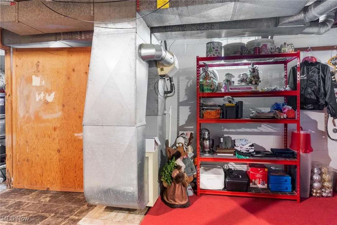 Storage in basement