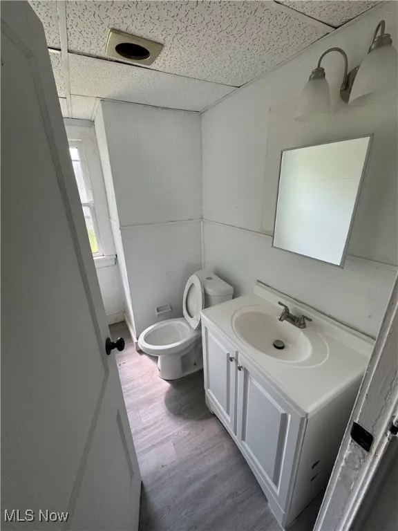Bathroom featuring a drop ceiling, vanity, toilet, and wood finished floors