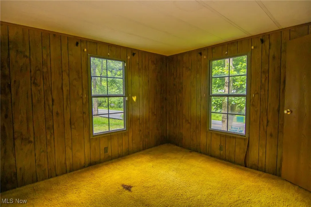 Carpeted empty room featuring plenty of natural light and wood walls