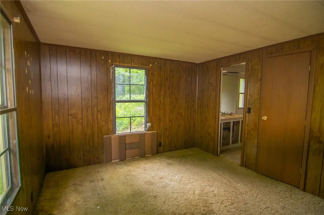 Empty room featuring carpet and wooden walls