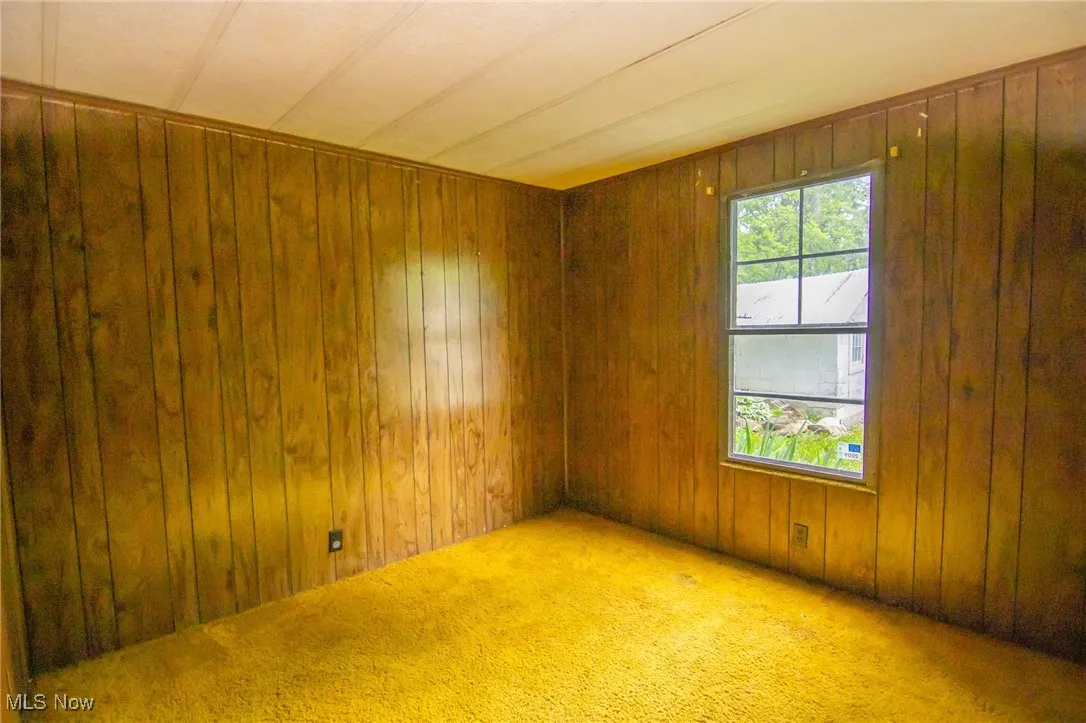 Carpeted empty room with wood walls