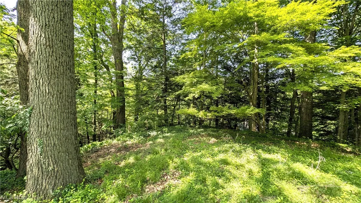 1628 Squaw Court, Girard, Ohio,MLS Now Listing ID