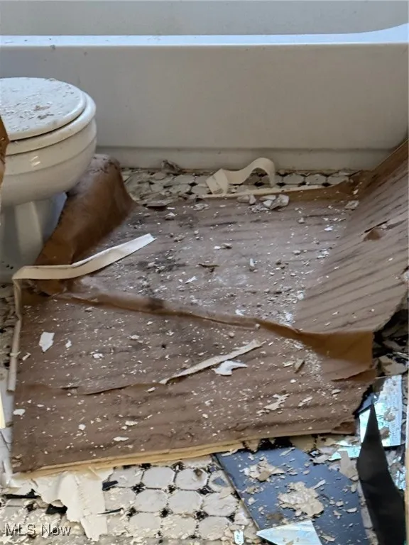 Bathroom featuring a freestanding tub and toilet