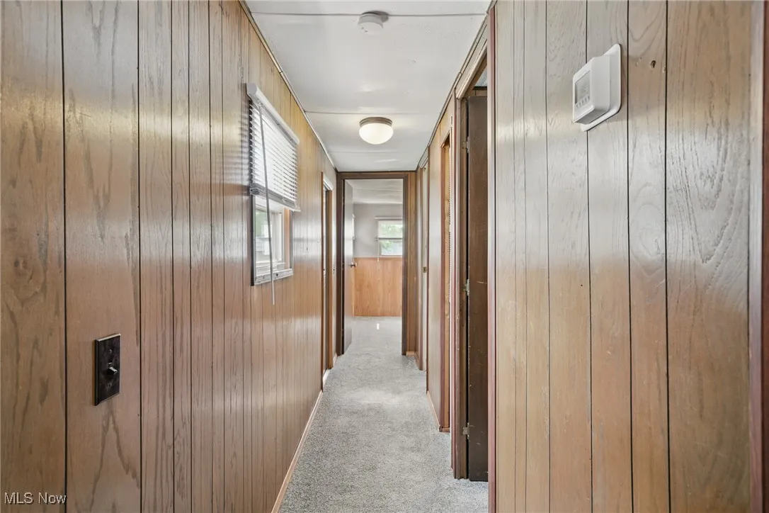Hall featuring wooden walls and carpet flooring