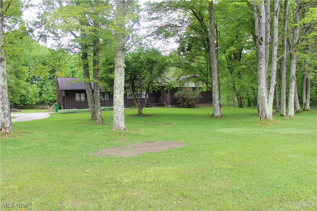 View of green lawn with dirt driveway