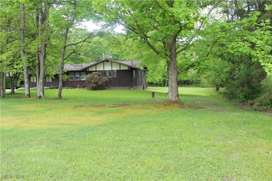 View of green lawn
