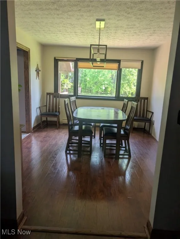 Dining room featuring plenty of natural light, hardwood / wood-style floors, a textured ceiling, and baseboards