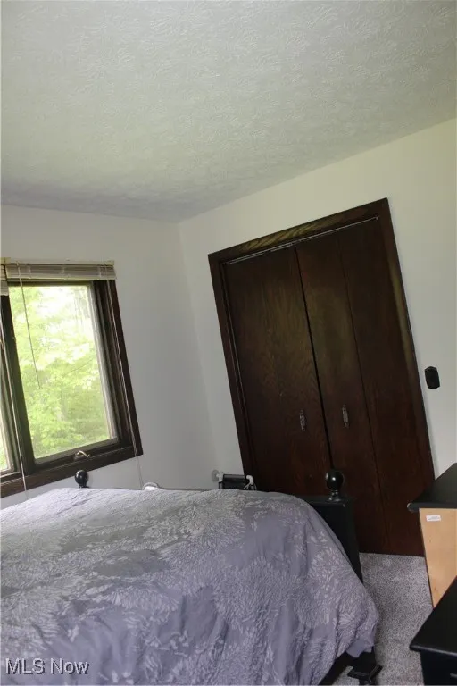 Carpeted bedroom with a textured ceiling and a closet