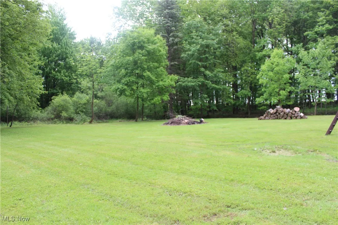 View of grassy yard