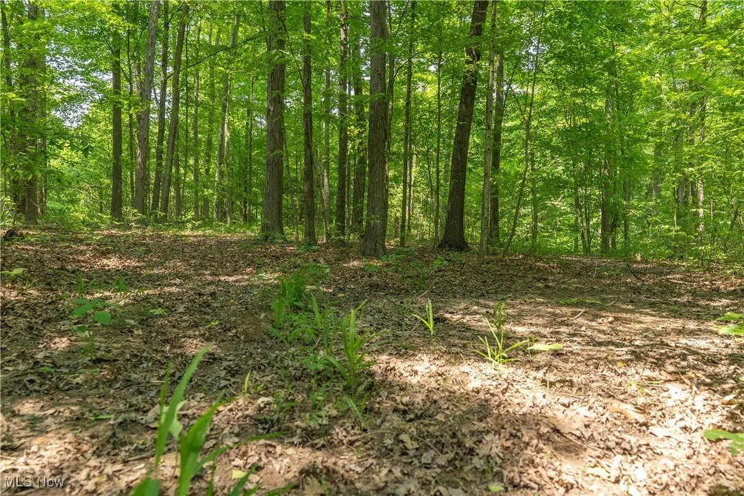 CR 500, Sullivan, Ohio 44880,MLS Now Listing ID