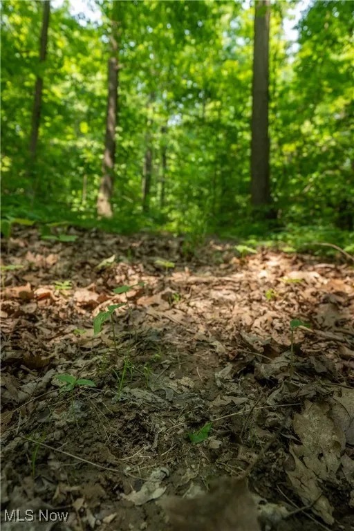 CR 500, Sullivan, Ohio 44880,MLS Now Listing ID