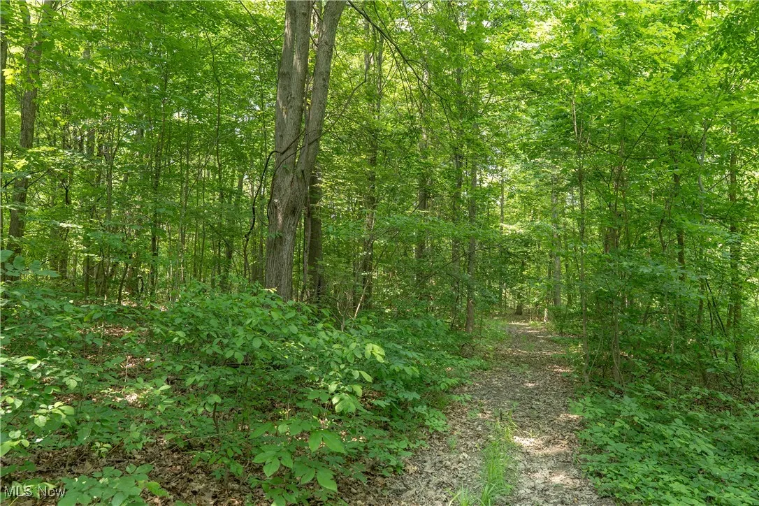 CR 500, Sullivan, Ohio 44880,MLS Now Listing ID