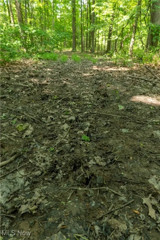 CR 500, Sullivan, Ohio 44880,MLS Now Listing ID