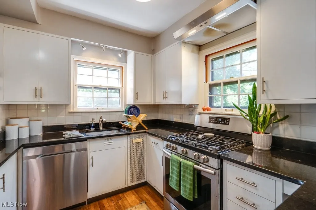 Kitchen featuring stainless steel appliances, a sink, plenty of natural light, and wood finished floors