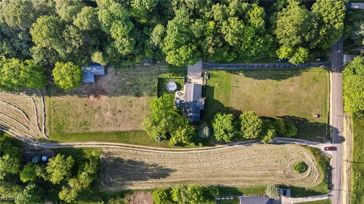 Drone View