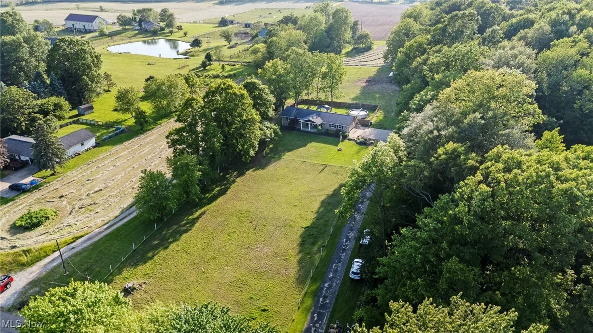 Drone View