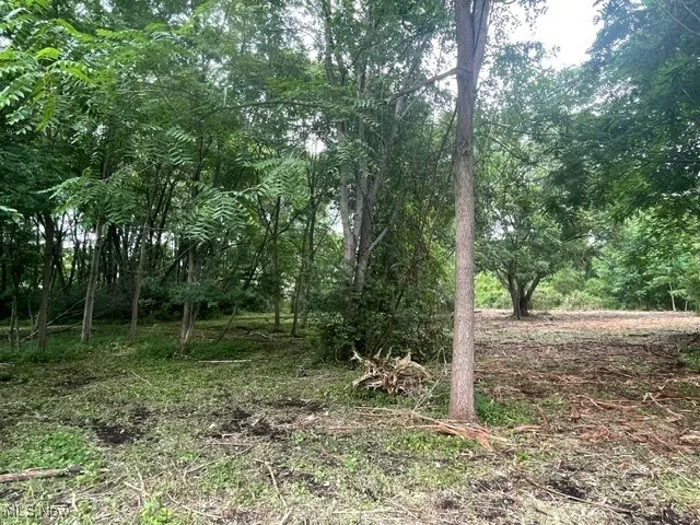 View of woods