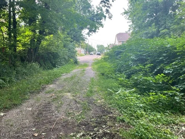 View of road