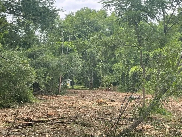 View of wooded area