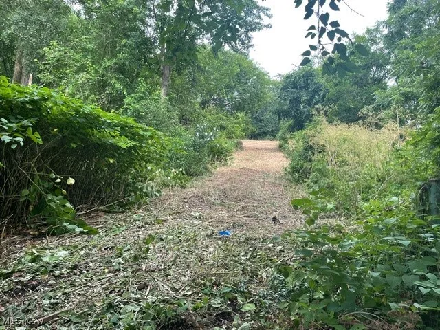 View of nature