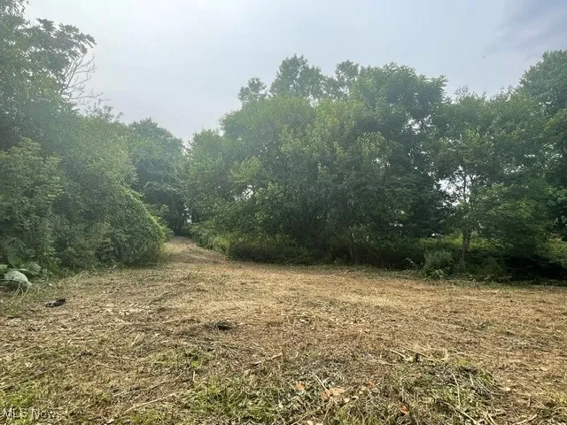 View of undeveloped land