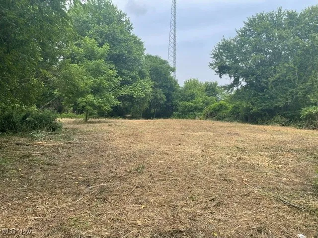 View of undeveloped land