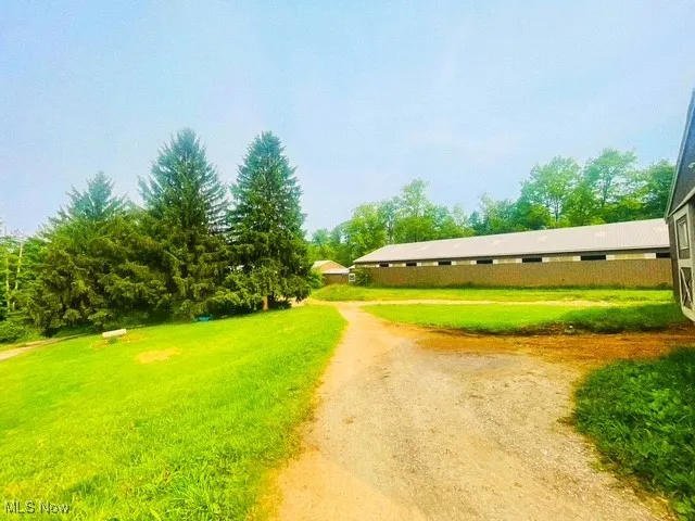 View of dirt / gravel driveway