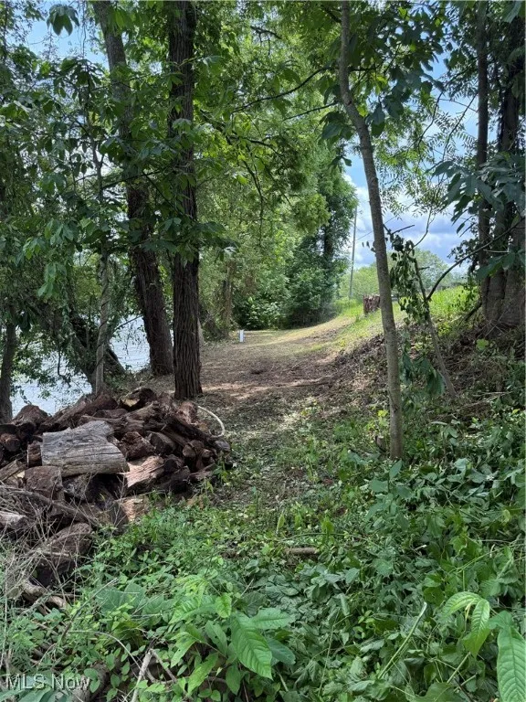 View of undeveloped land