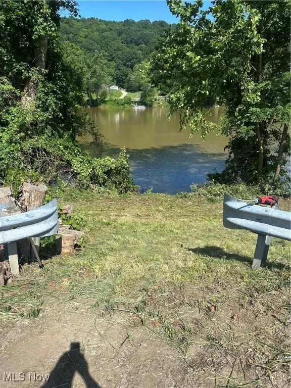 Water view with a forest