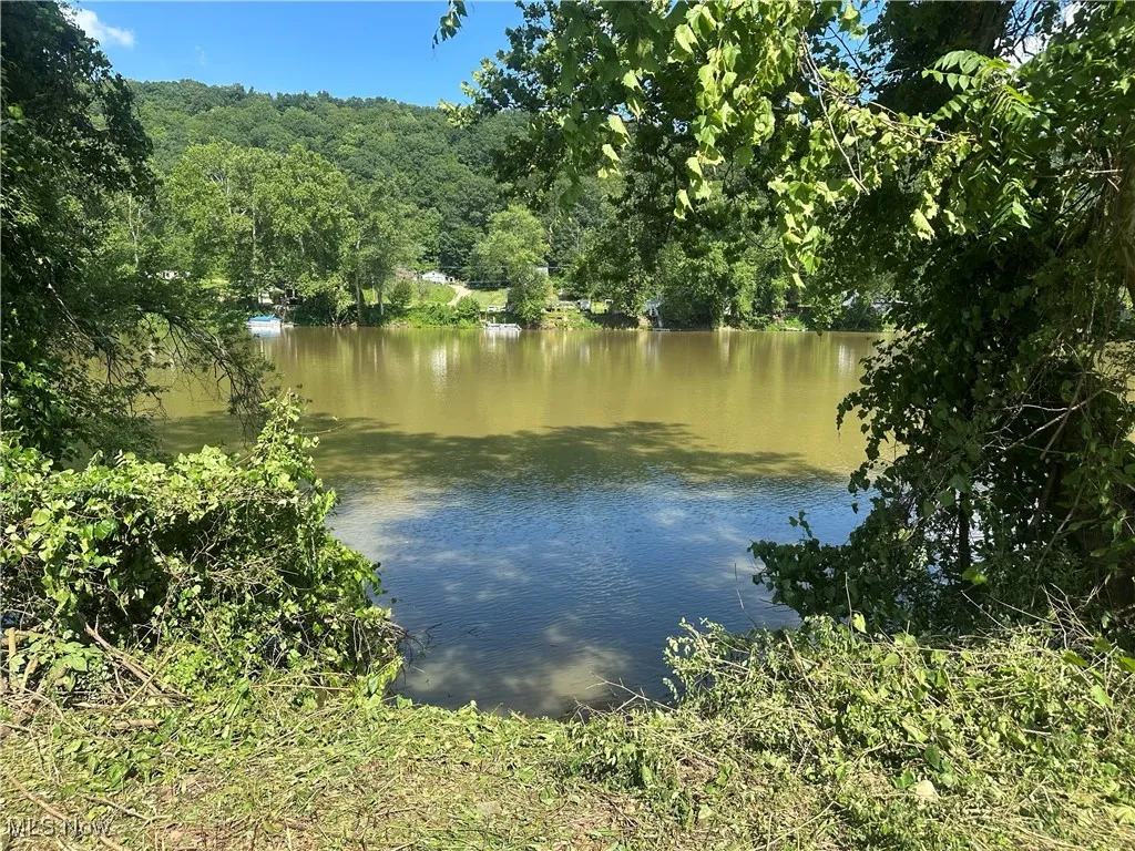Water view with a heavily wooded area