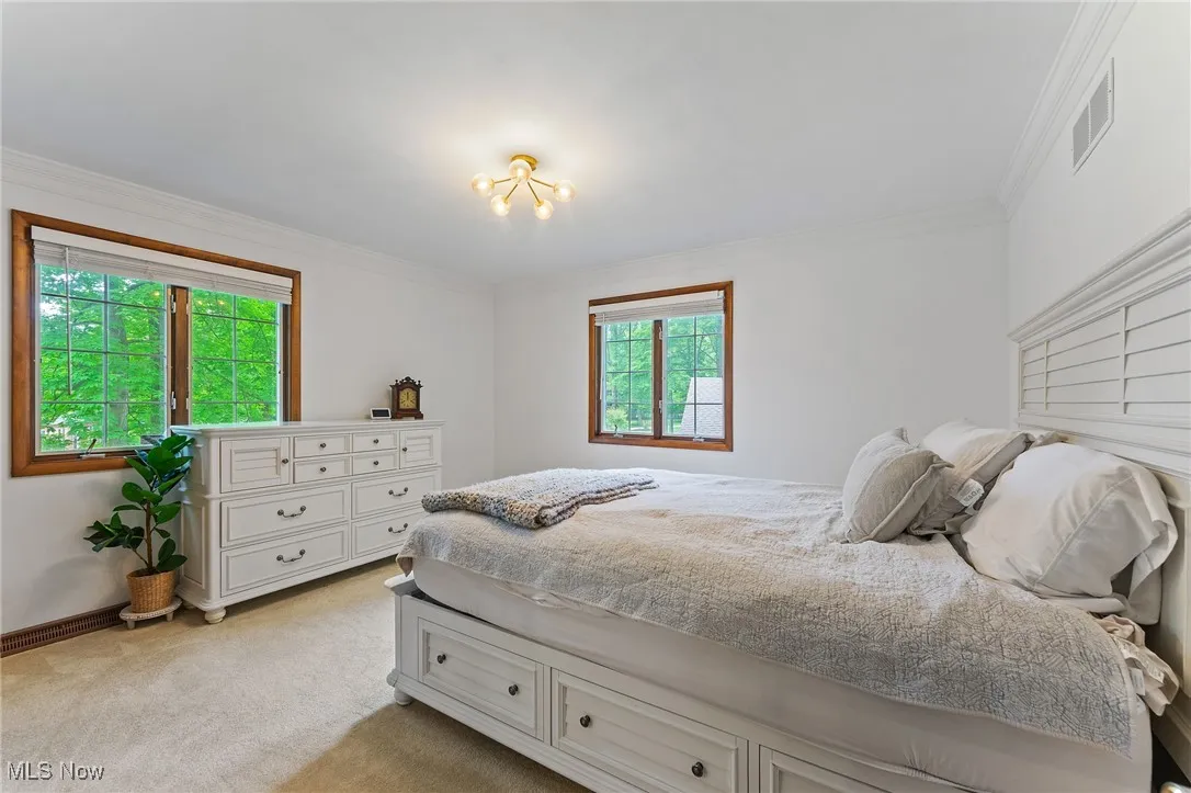 565 Hickory Hollow Drive, Canfield, Ohio,MLS Now Listing ID