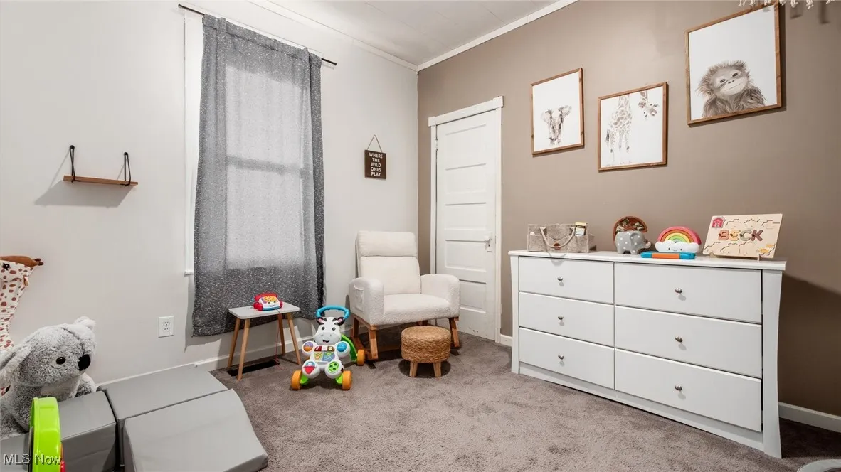 Recreation room with carpet, crown molding, and baseboards