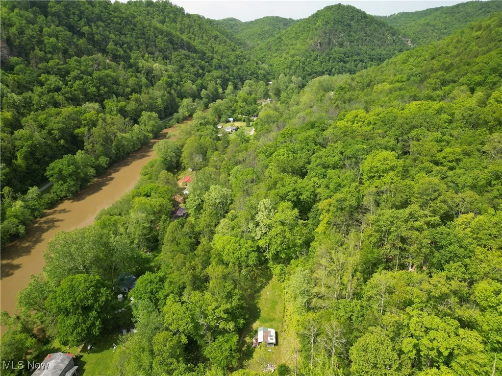 179 Little Beechy Ridge Road, Procious, West Virginia,MLS Now Listing ID