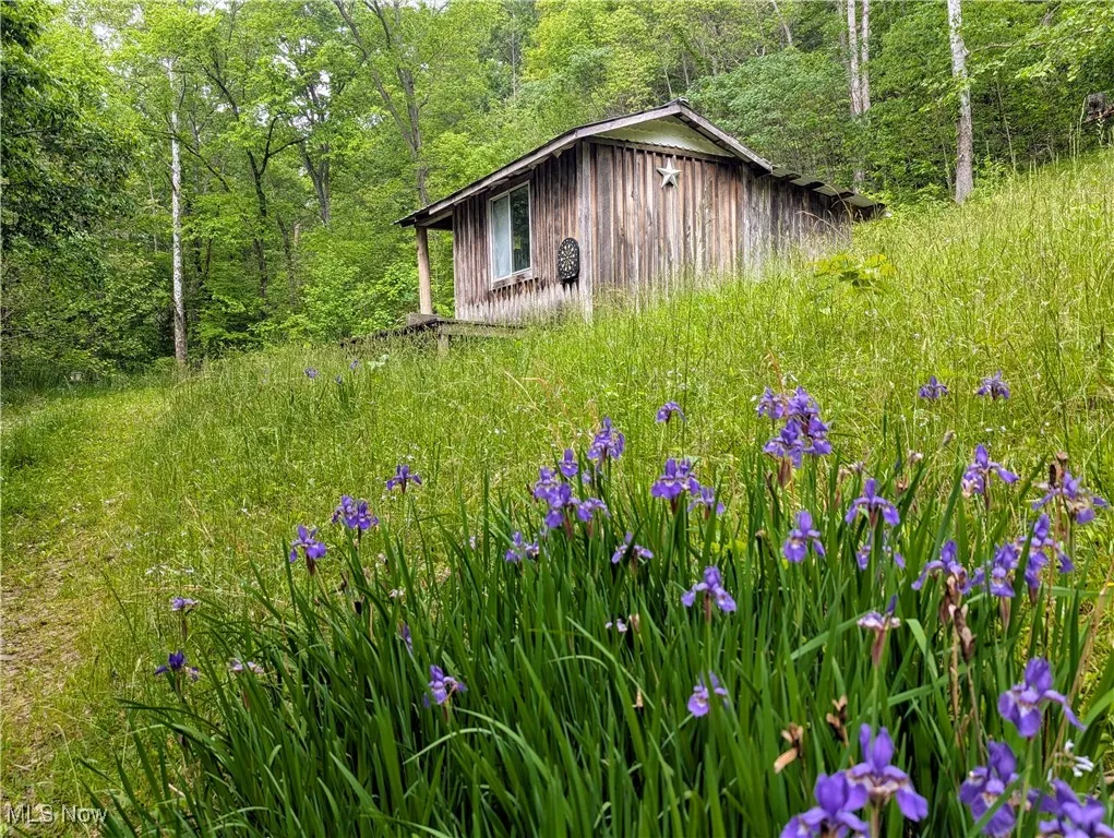 179 Little Beechy Ridge Road, Procious, West Virginia,MLS Now Listing ID