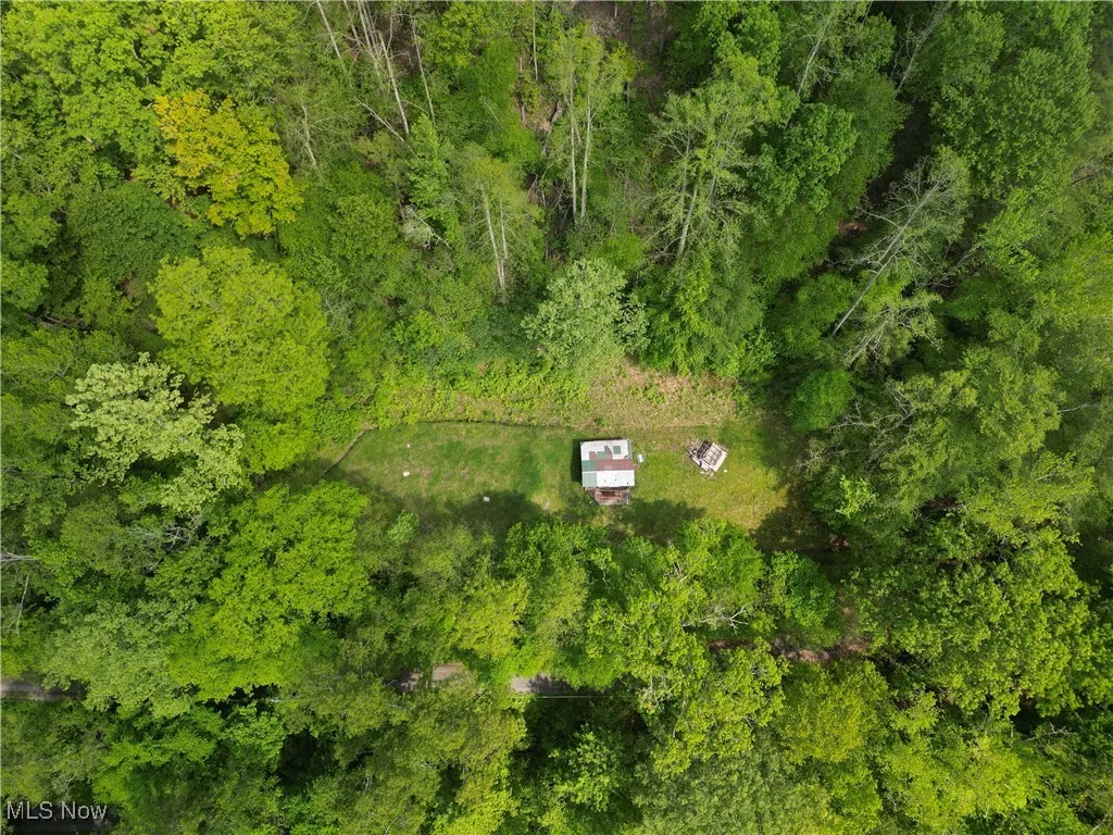 179 Little Beechy Ridge Road, Procious, West Virginia,MLS Now Listing ID