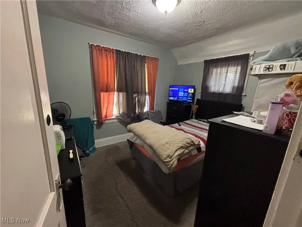 Bedroom featuring carpet floors, a textured ceiling, baseboards, multiple windows, and lofted ceiling