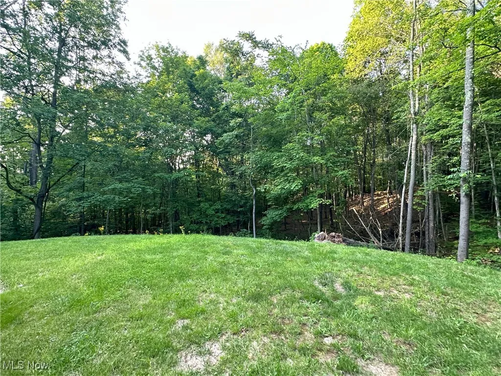 17744 Kirkbride Hill Road, Pleasant City, Ohio,MLS Now Listing ID